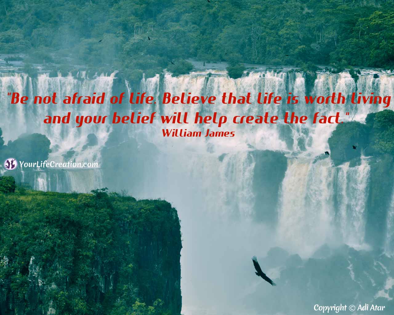 What makes life worth living essay