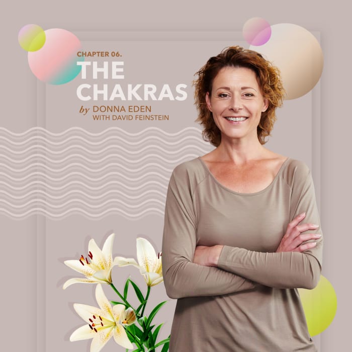 The Chakras - Energy Medicine Online Course