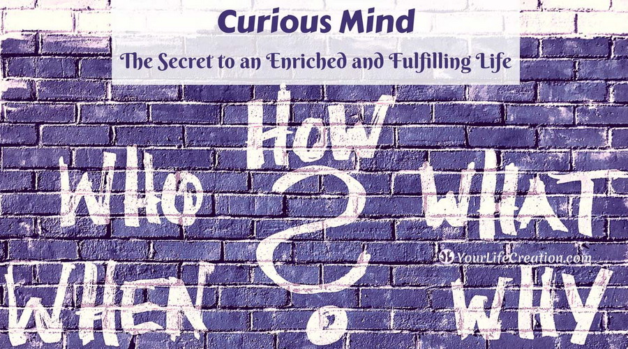 Curious Mind - The Secret to an Enriched and Fulfilling Life